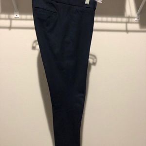 Banana Republic Suit Pant/Slacks